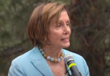 Nancy Pelosi