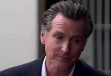 gavin newsom