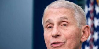 dr fauci