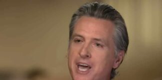 gavin newsom