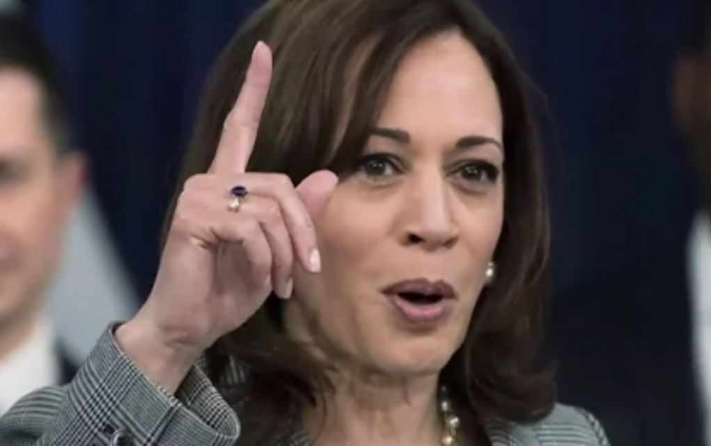 Kamala Harris Had Her World Turned Upside Down From This Stunning New ...