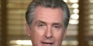 gavin newsom