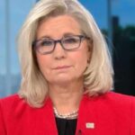 liz cheney