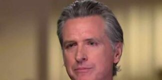gavin newsom