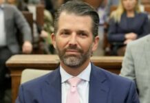 donald trump jr