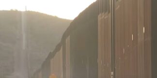 border patrol