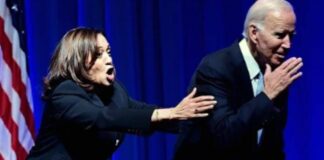 joe and kamala