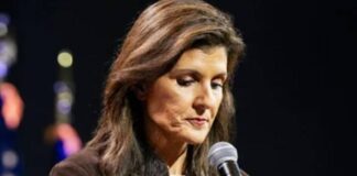 nikki haley