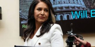 Tulsi Gabbard