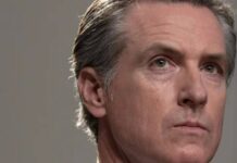 gavin newsom