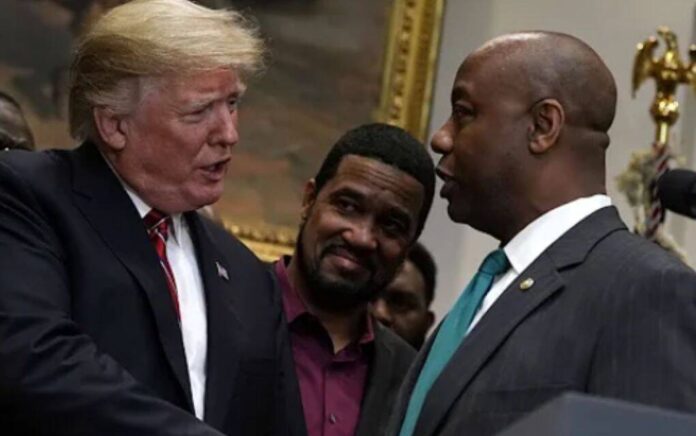 Tim Scott & Trump