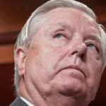 lindsey graham