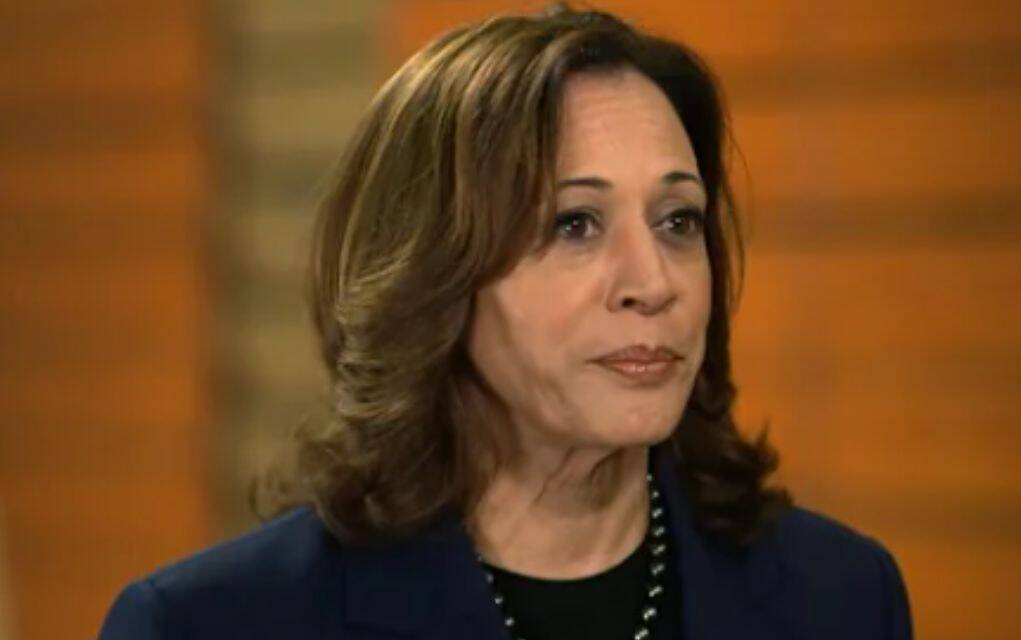 Kamala Harris suffers a one-two punch in this devastating attack | The ...