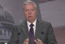Lindsey Graham hit RINOs with a brutal reality check they never saw coming Republican Senator Lindsey Graham