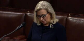 Former Rep. Liz Cheney