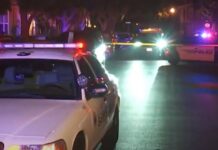 secret service robbed