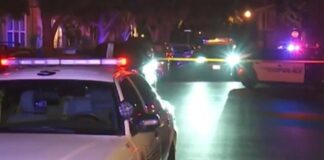 secret service robbed