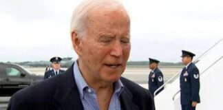 joe biden