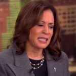 Kamala Harris makes absurd confession on live TV about Joe Biden kamala