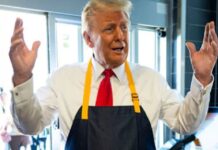 trump mcdonalds