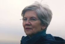 elizabeth warren