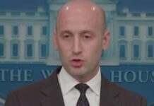 stephen miller