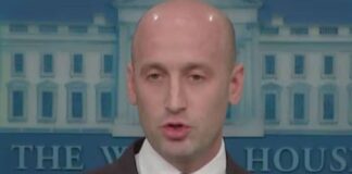 stephen miller