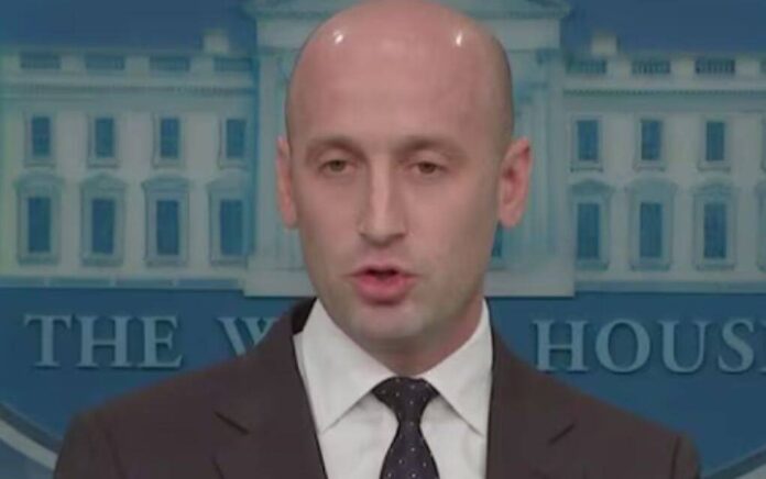 stephen miller