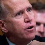 thom tillis