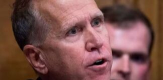 thom tillis