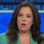 elise stefanik