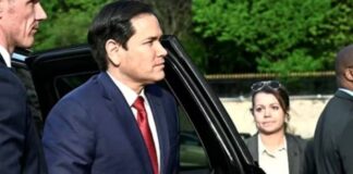 rubio