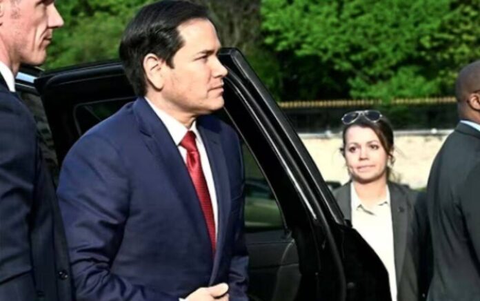 rubio rubio