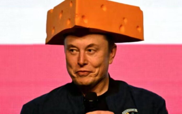 elon musk cheese hat