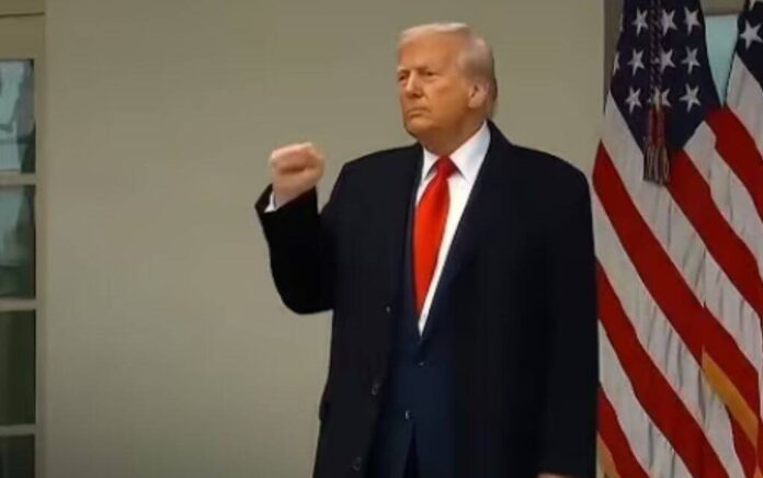 trump trump