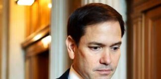 rubio