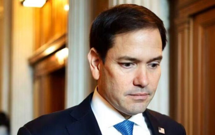 rubio rubio