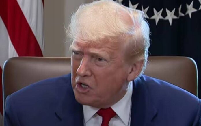 trump trump