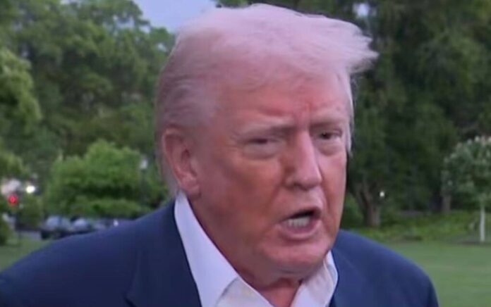 trump trump