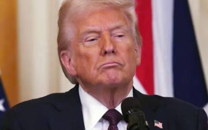 trump trump