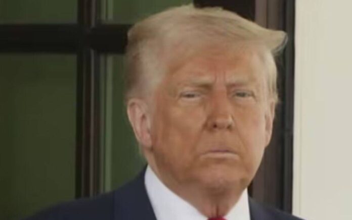 trump trump