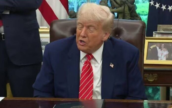 trump trump
