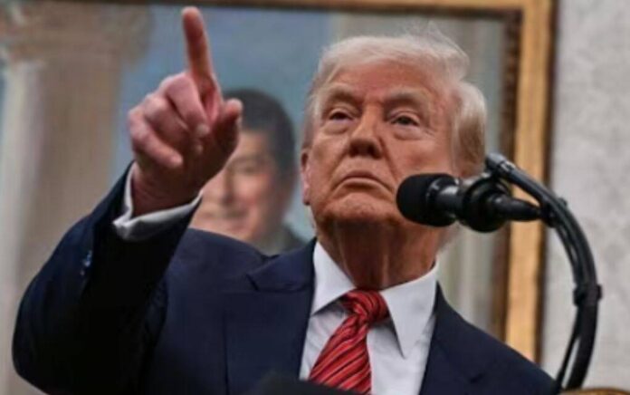 trump trump
