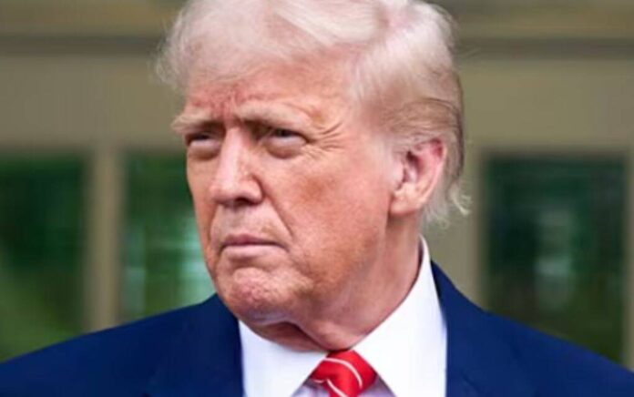 trump trump