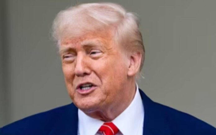 trump trump