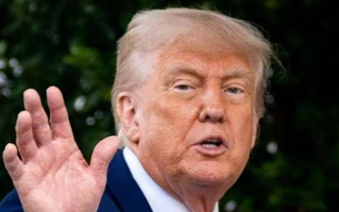 trump trump
