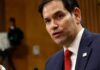 rubio