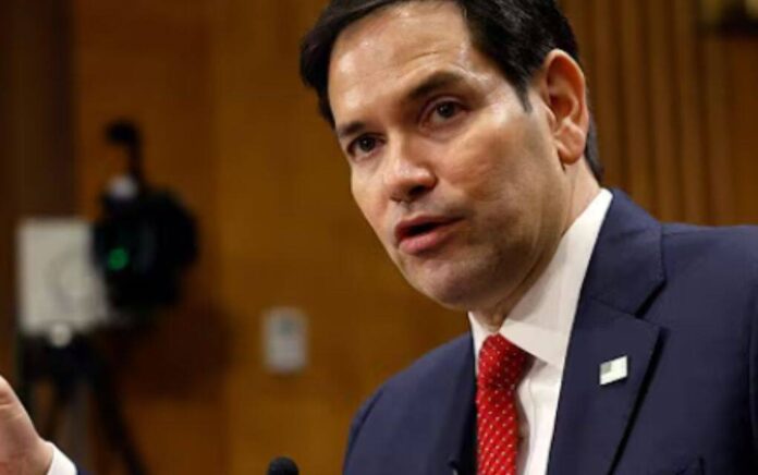 rubio rubio