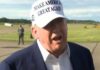 djt
