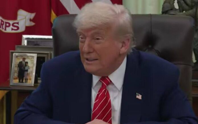 donald trump donald trump